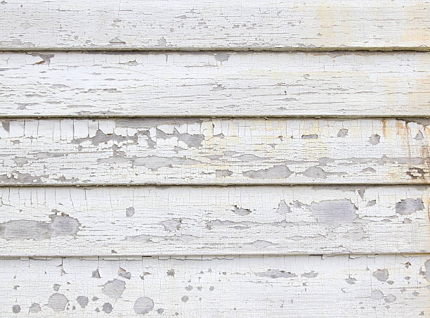 Best Construction Debris Removal  in Gonzalez, FL